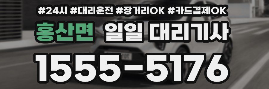 홍산면 일일 대리기사
