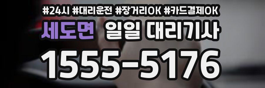 세도면 일일 대리기사