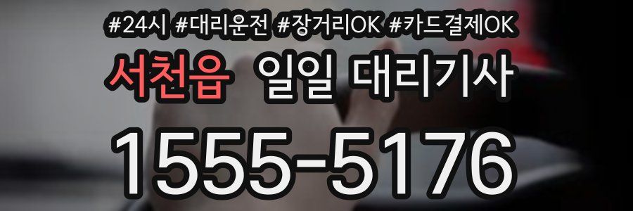 서천읍 일일 대리기사
