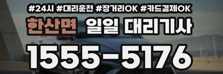 한산면 일일 대리기사