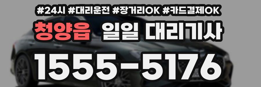 청양읍 일일 대리기사
