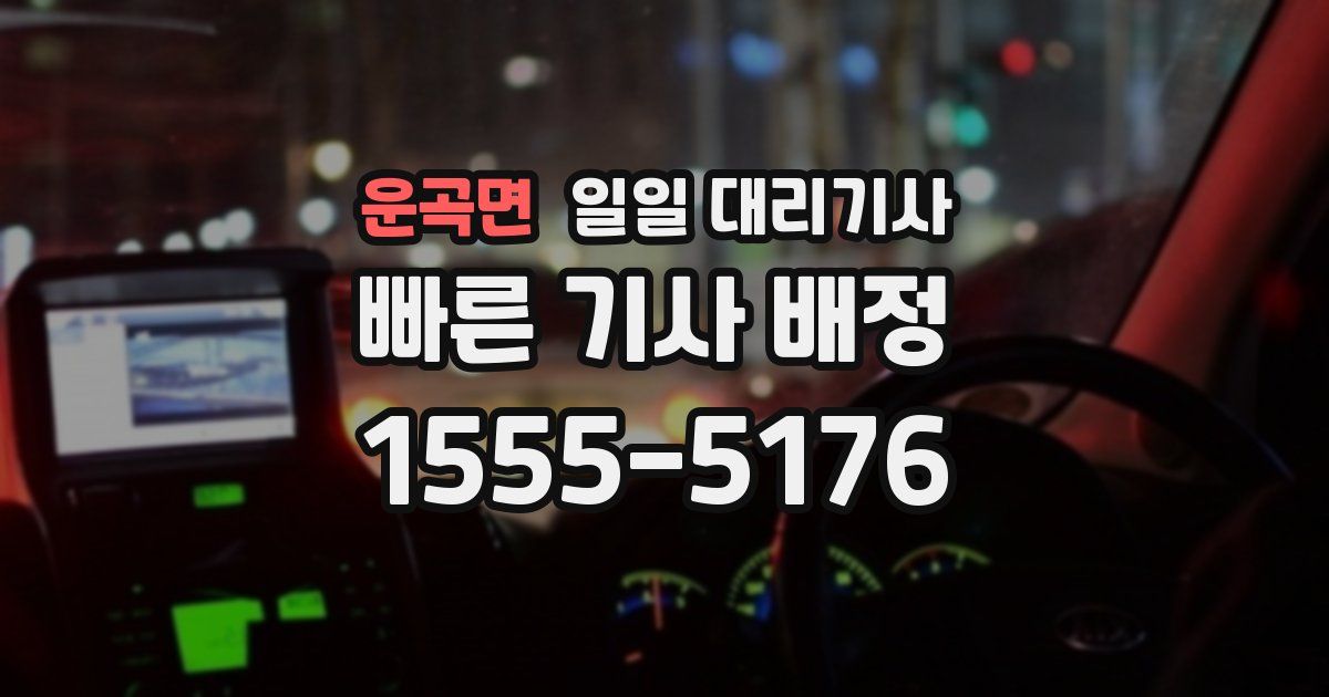 운곡면 일일 대리기사