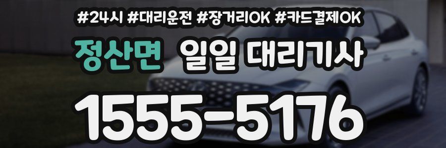 정산면 일일 대리기사