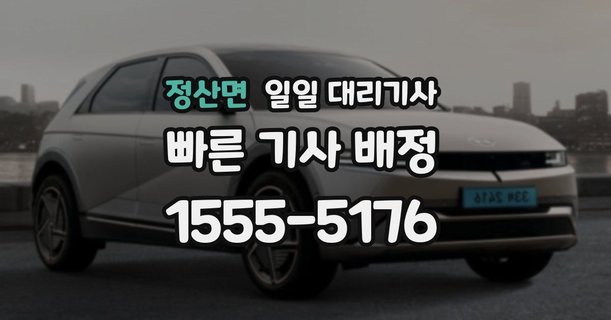 정산면 일일 대리기사