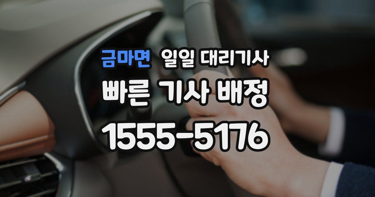 금마면 일일 대리기사