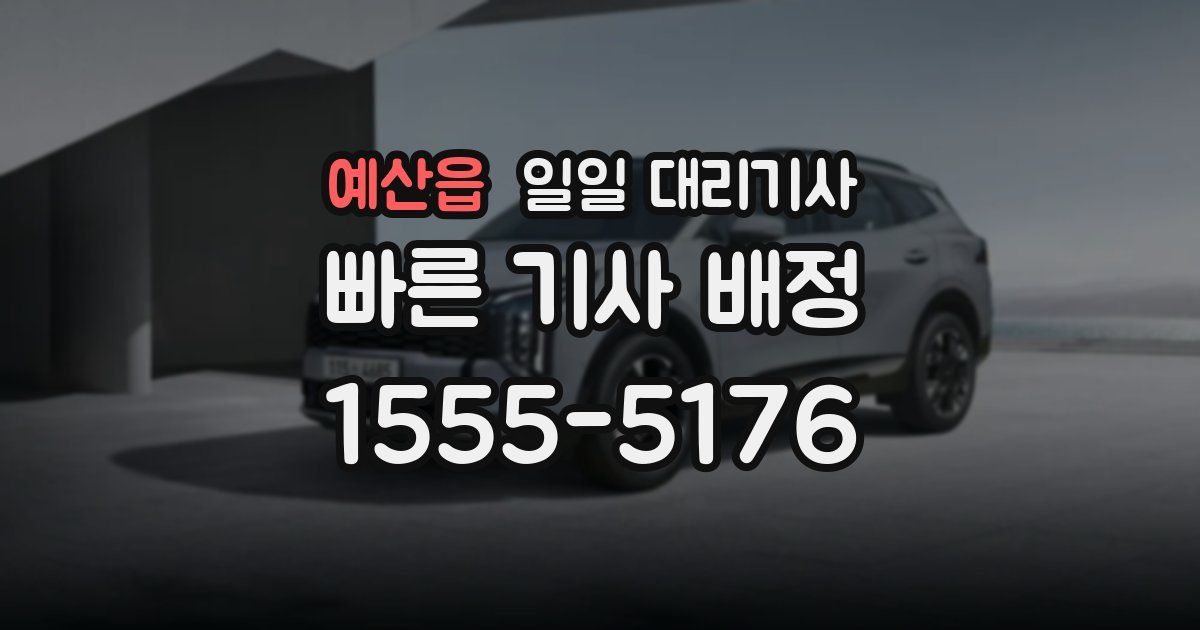 예산읍 일일 대리기사