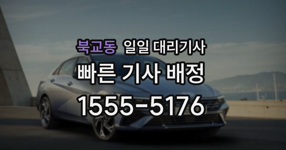 북교동 일일 대리기사