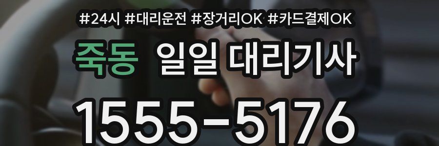 죽동 일일 대리기사