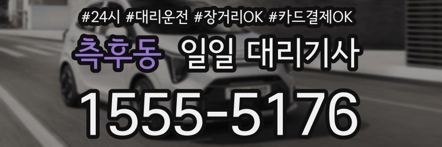 측후동 일일 대리기사