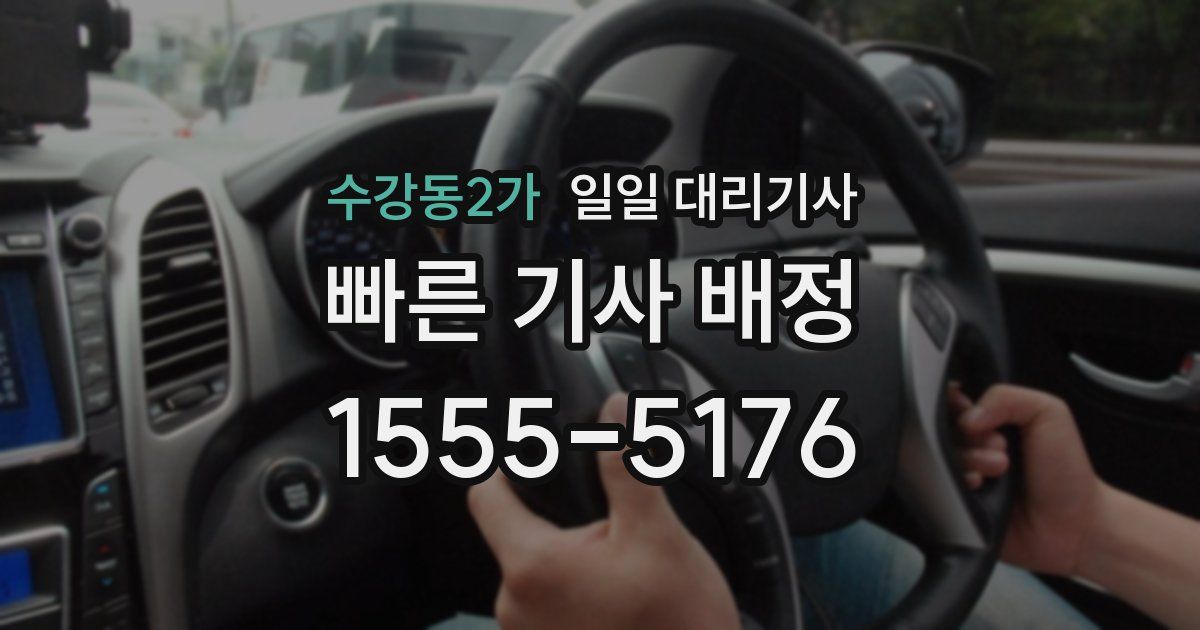 수강동2가 일일 대리기사