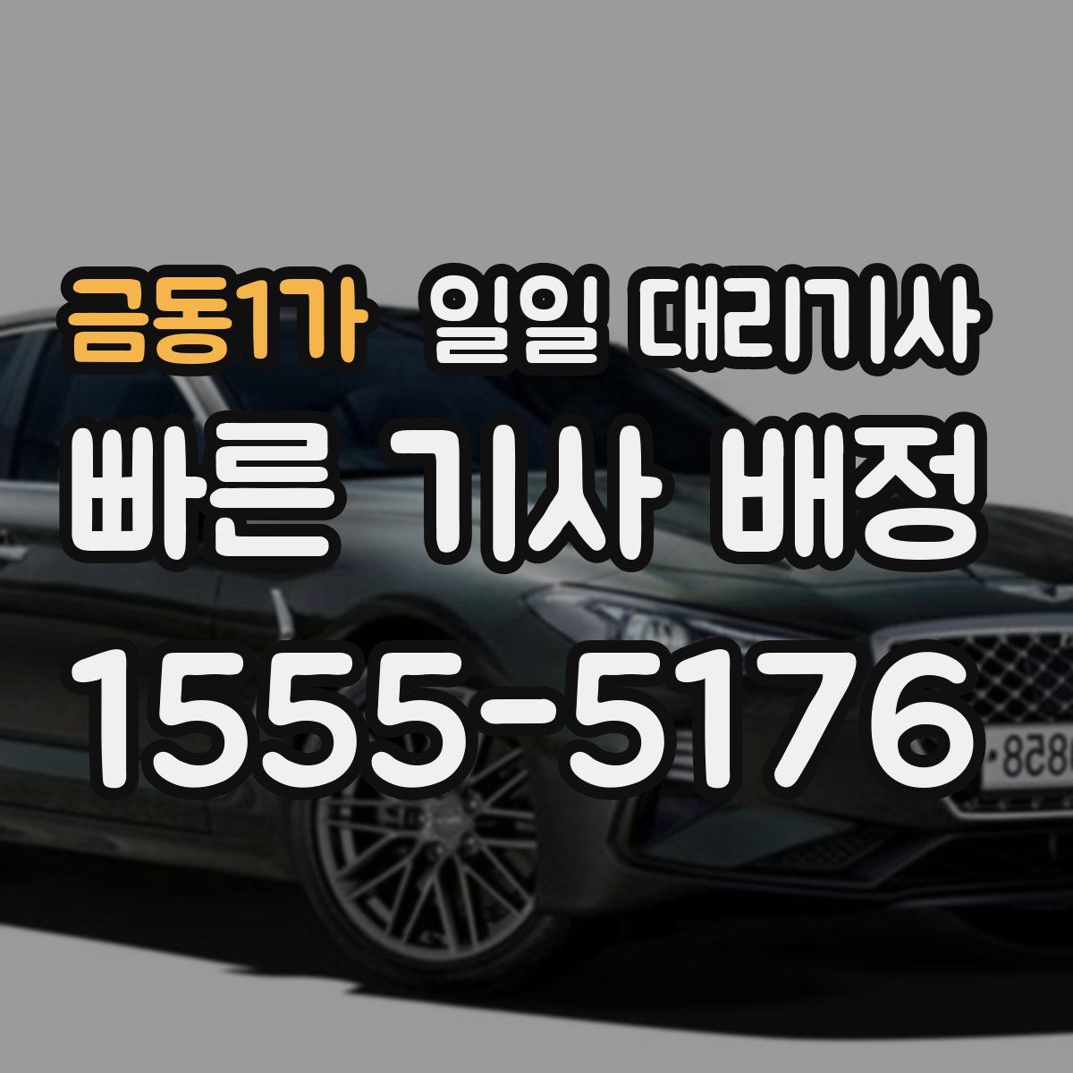 금동1가 일일 대리기사