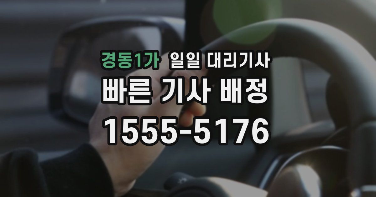 경동1가 일일 대리기사