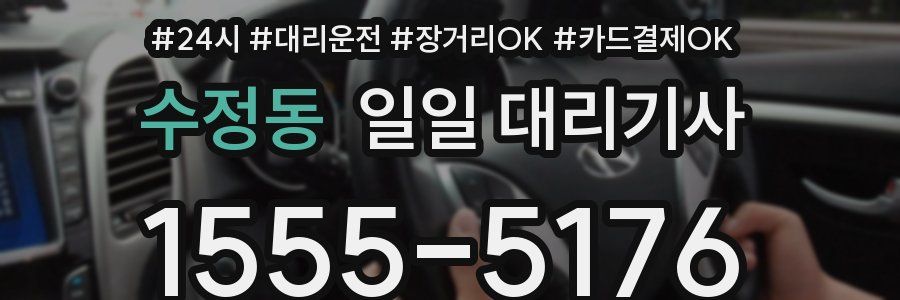 수정동 일일 대리기사