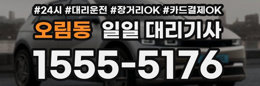 오림동 일일 대리기사