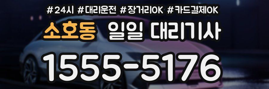 소호동 일일 대리기사