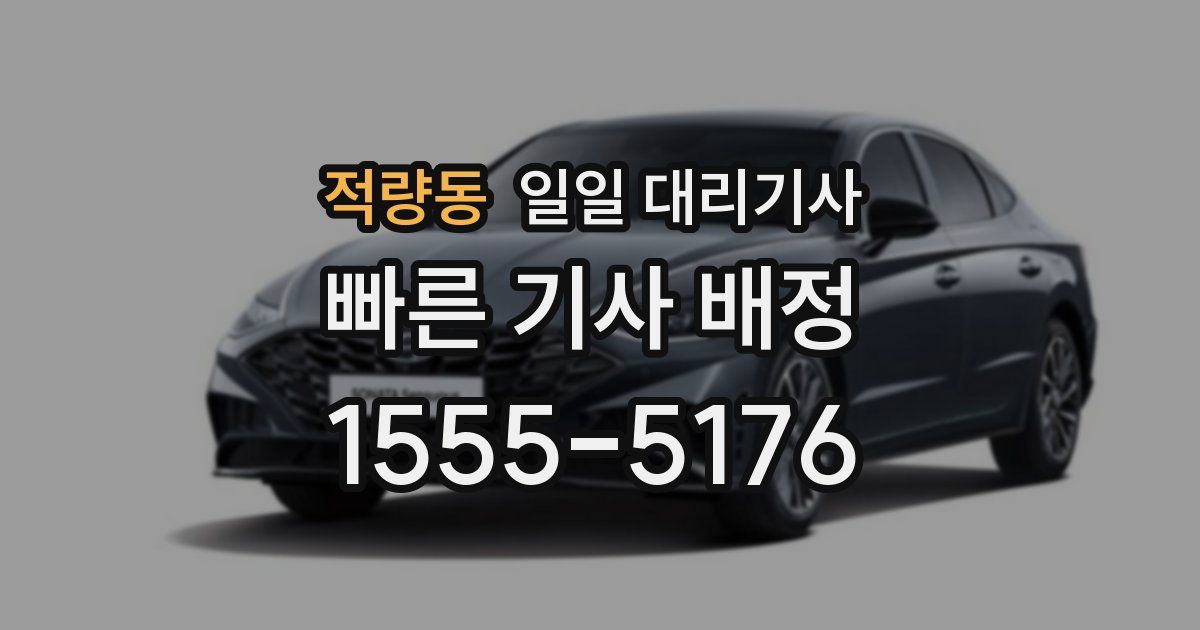 적량동 일일 대리기사