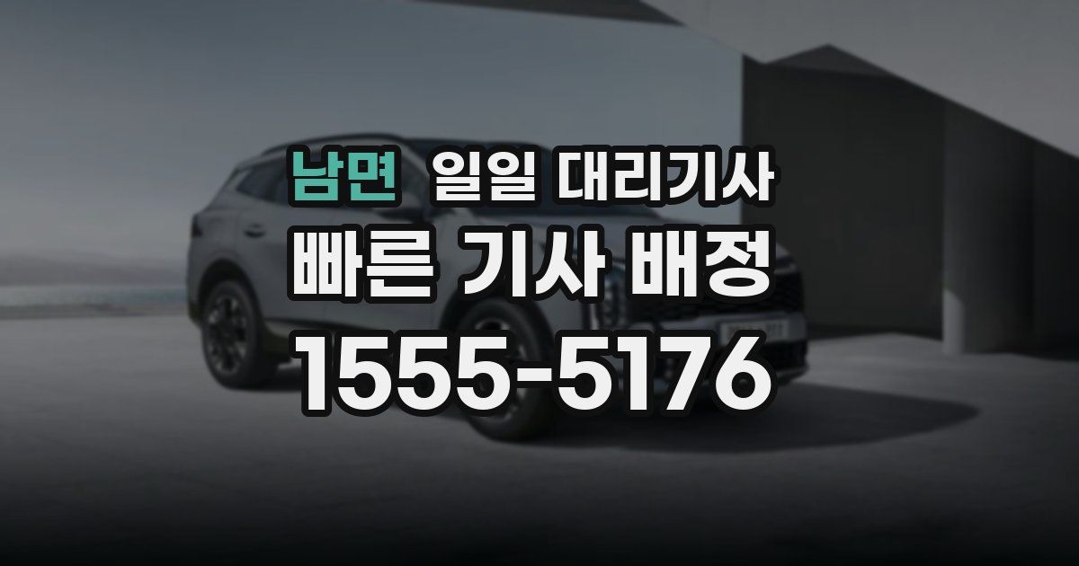 남면 일일 대리기사