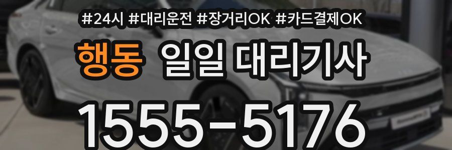 행동 일일 대리기사