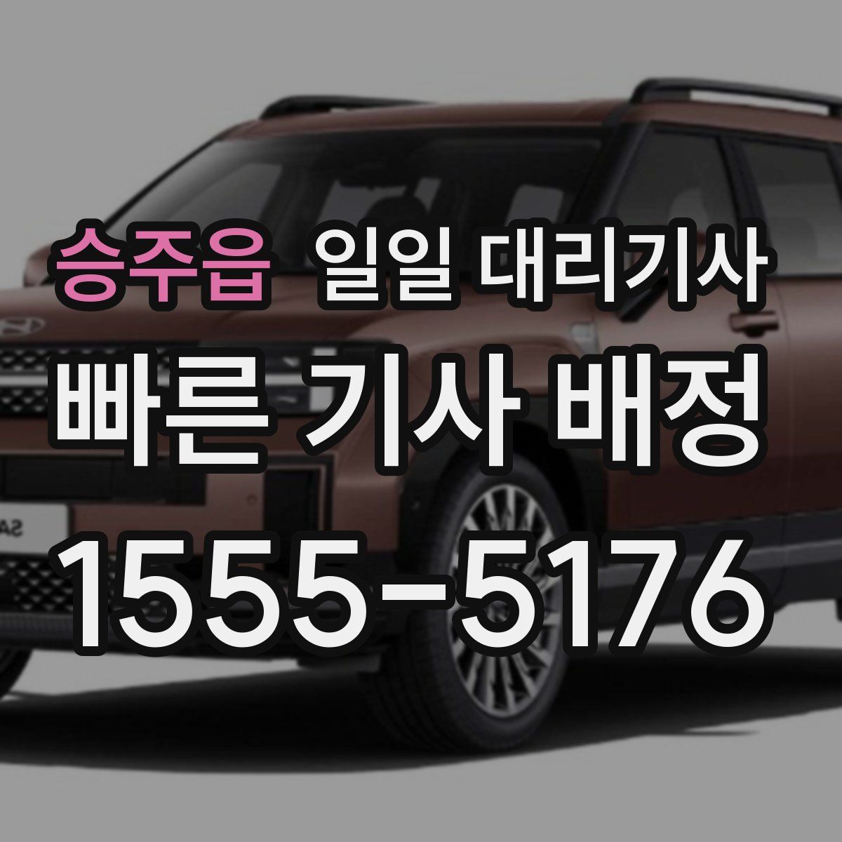 승주읍 일일 대리기사