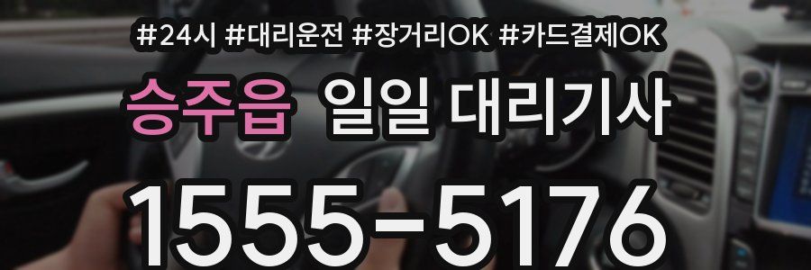 승주읍 일일 대리기사