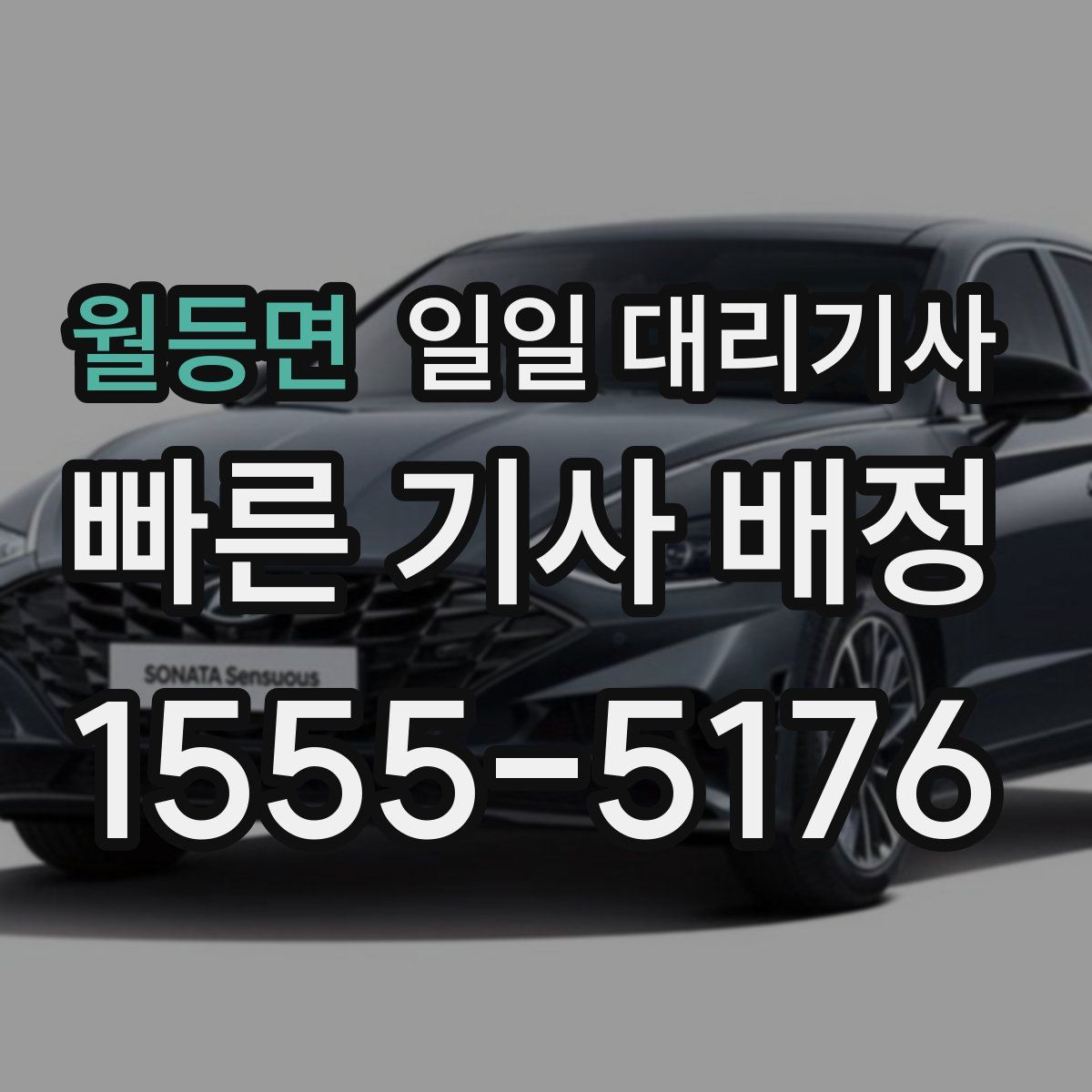 월등면 일일 대리기사