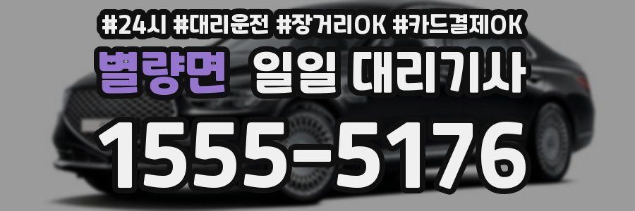별량면 일일 대리기사