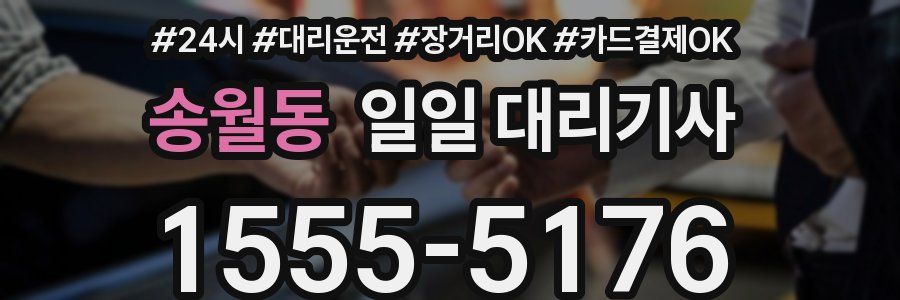 송월동 일일 대리기사