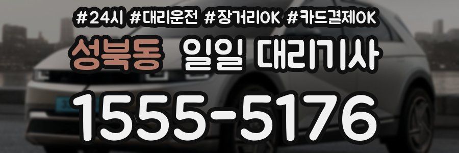성북동 일일 대리기사