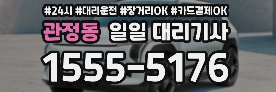 관정동 일일 대리기사