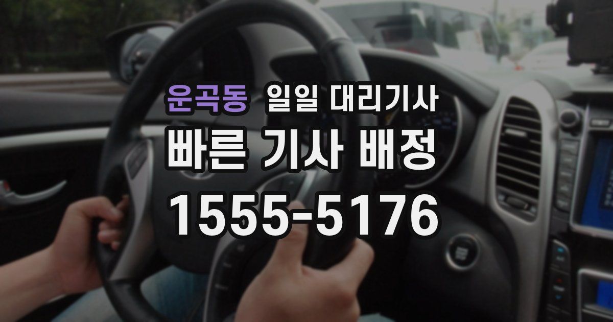 운곡동 일일 대리기사