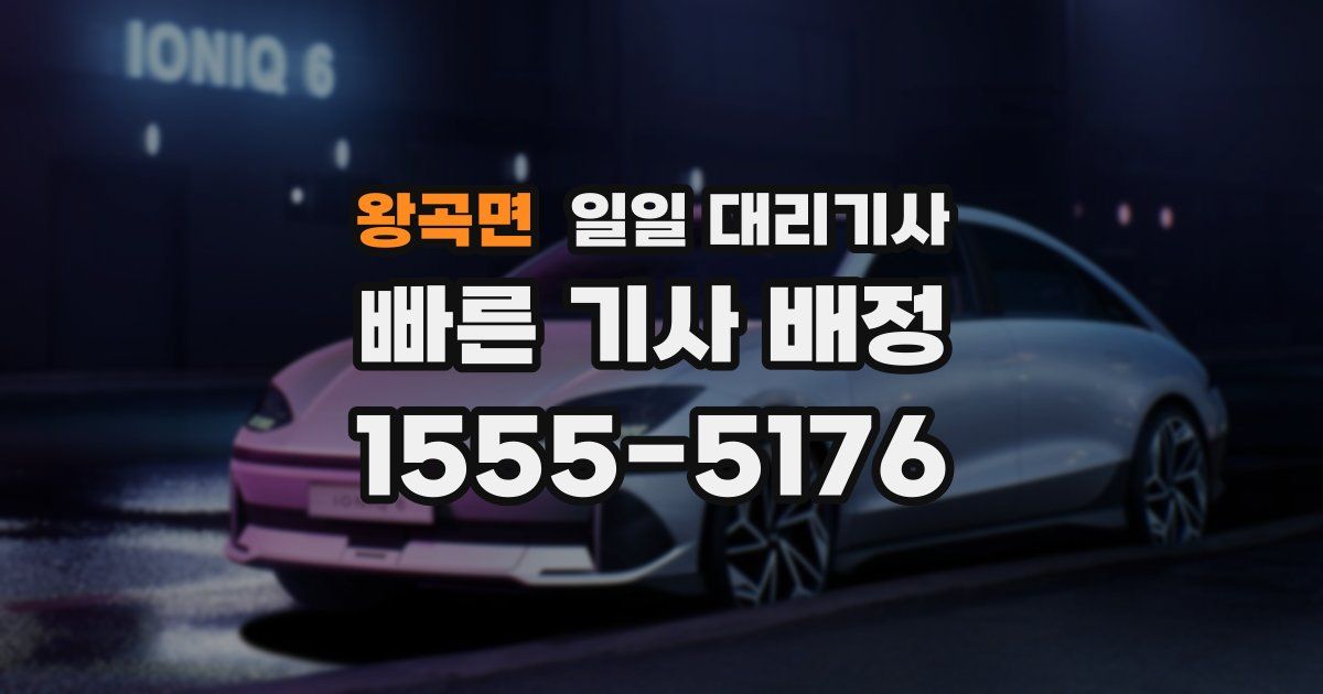 왕곡면 일일 대리기사