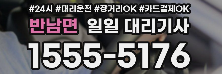 반남면 일일 대리기사