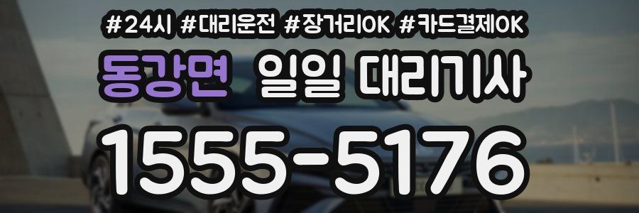 동강면 일일 대리기사