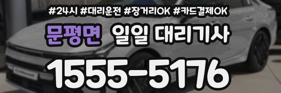 문평면 일일 대리기사