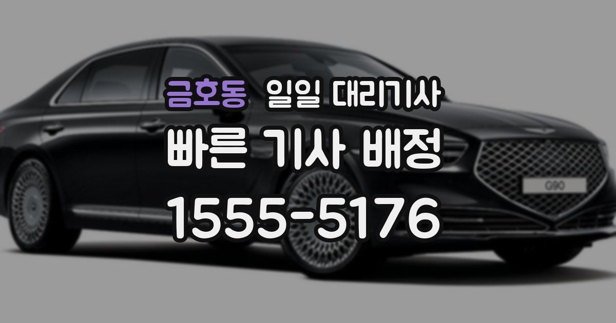 금호동 일일 대리기사