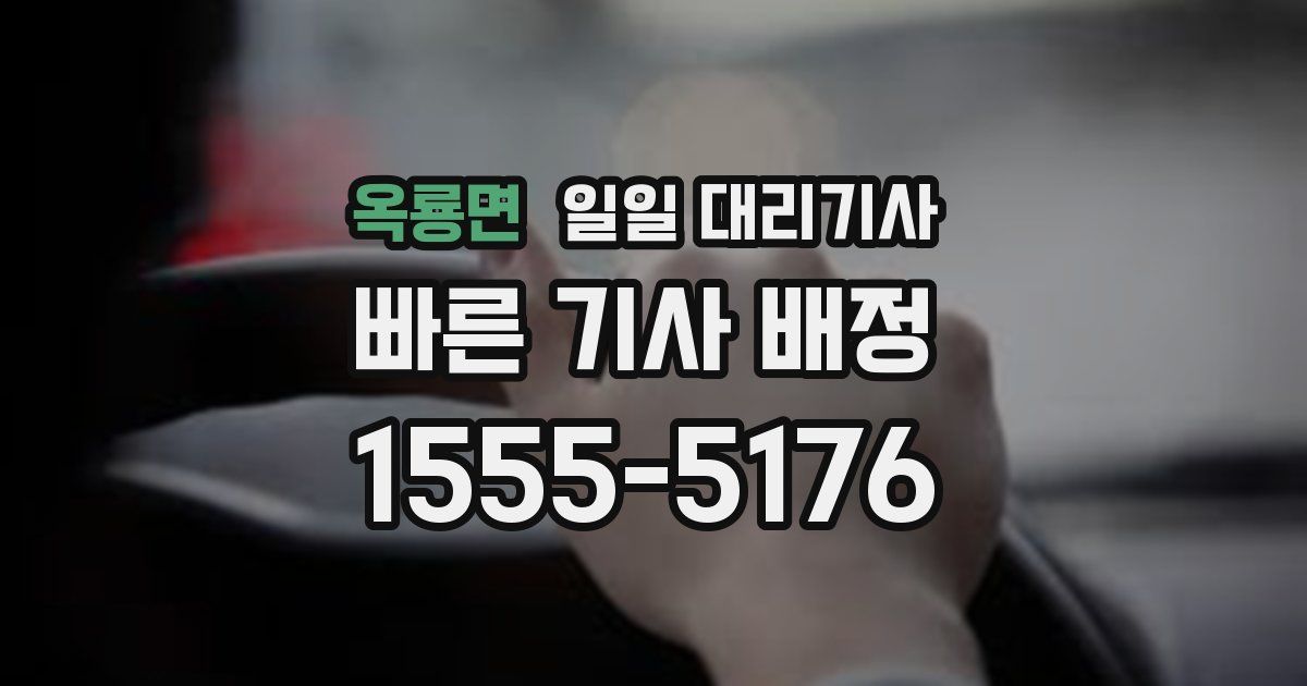 옥룡면 일일 대리기사