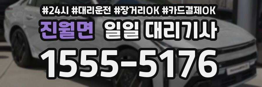 진월면 일일 대리기사