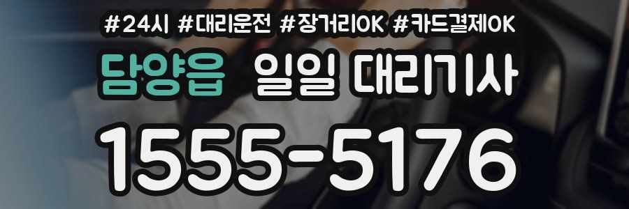 담양읍 일일 대리기사