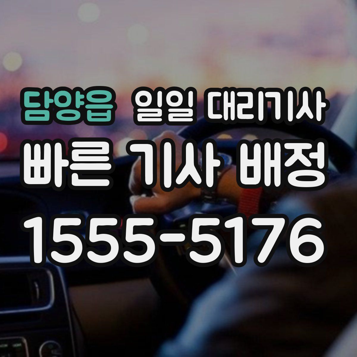 담양읍 일일 대리기사