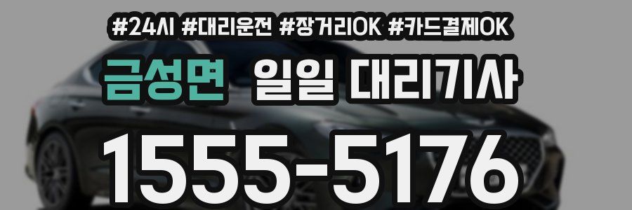 금성면 일일 대리기사