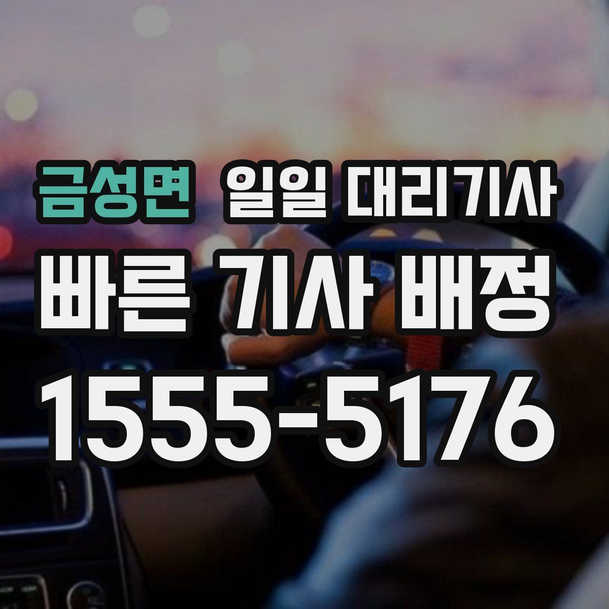 금성면 일일 대리기사