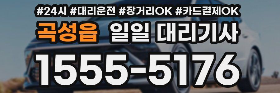 곡성읍 일일 대리기사