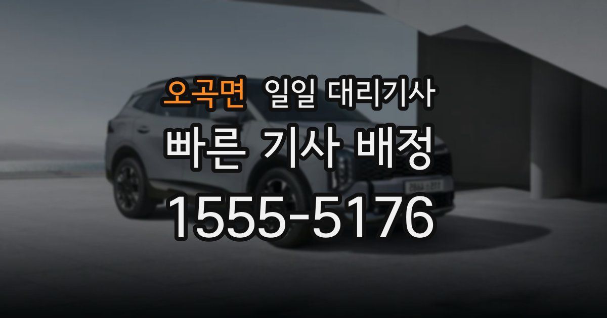 오곡면 일일 대리기사