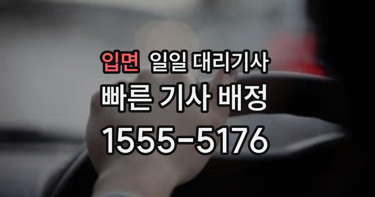 입면 일일 대리기사