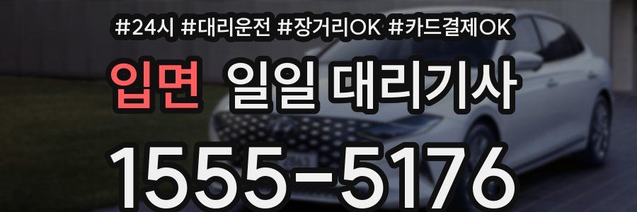 입면 일일 대리기사