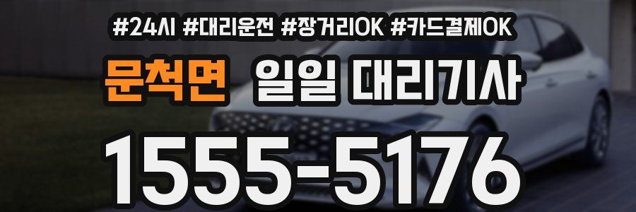 문척면 일일 대리기사