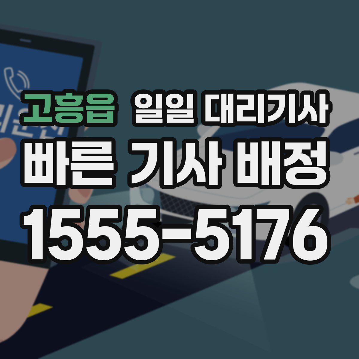 고흥읍 일일 대리기사