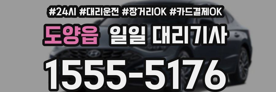 도양읍 일일 대리기사