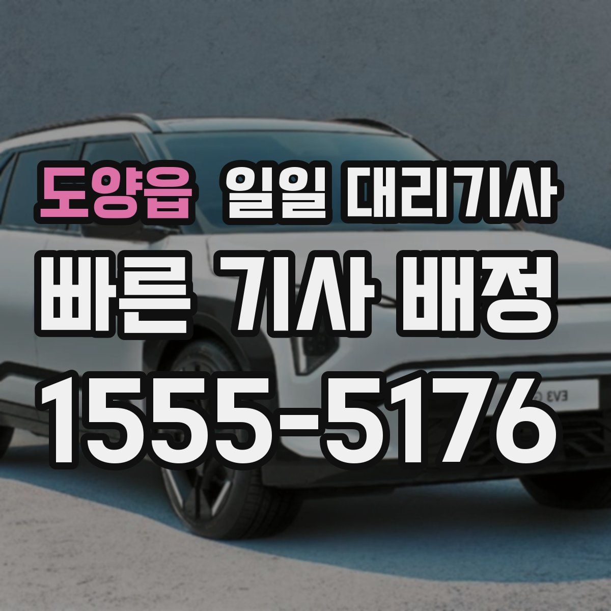 도양읍 일일 대리기사