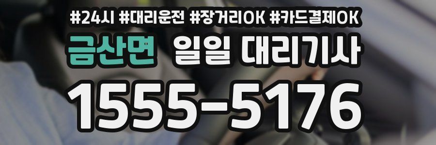 금산면 일일 대리기사